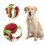 Boule de reniflage pour animaux de compagnie,-Macarons 20cm 3