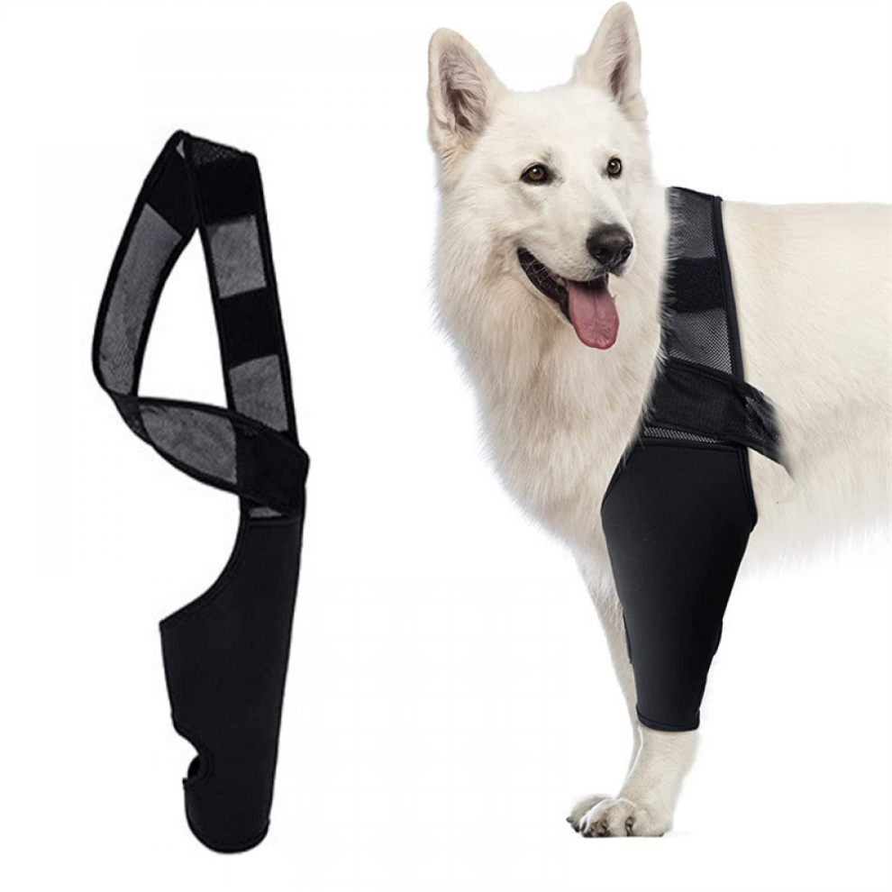 ((M))Dog Elbow Brace, Dog Compression Knee Brace, Elbow And Shoulder Support, Dysplasia, Arthritis, Elbow Calluses, Pressure Sores, Shoulder
