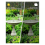 Pompa solare per fontana, pompa solare per vasca per uccelli da esterno con tubi 5