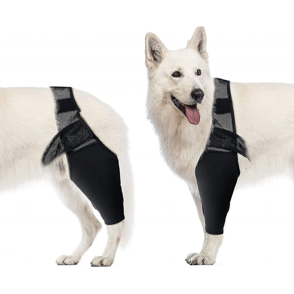 Dog Elbow Brace, Dog Compression Knee Brace, Elbow And Shoulder Support, Dysplasia, Arthritis, Elbow Calluses, Pressure Sores, Shoulder Disl