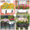 2PCS Adjustable Planter Box Bracket (6 to 12.5 Inches) for Flower Box Holders, Window Boxes PlantersHooks, Wall 8