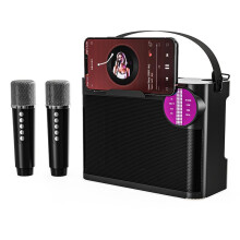 Krachtige, Draadloze, Draagbare Bluetooth-Luidspreker met Dubbele Microfoon, Hifi-Stereo, Karaoke-Subwoofer voor een Familiefeest, met Mobiele