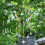 Handmade Dreamcatcher Wind Chimes Crystal Ball Wall-Type C 2