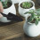 Bonsai Accessories Iron 1set 9.1in 9