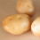 Vegetable Display Props Suitable for Creative Homes and Party 4