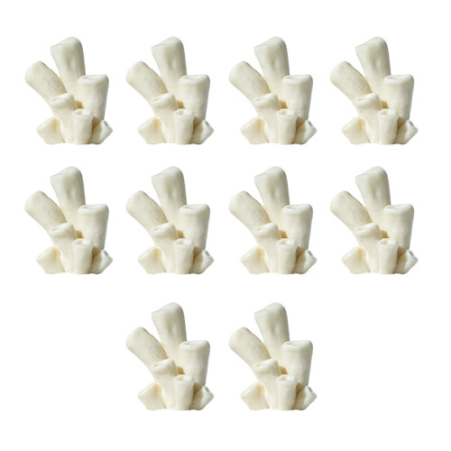 10lots High Quality Corals Ornaments Innovative-Type I white