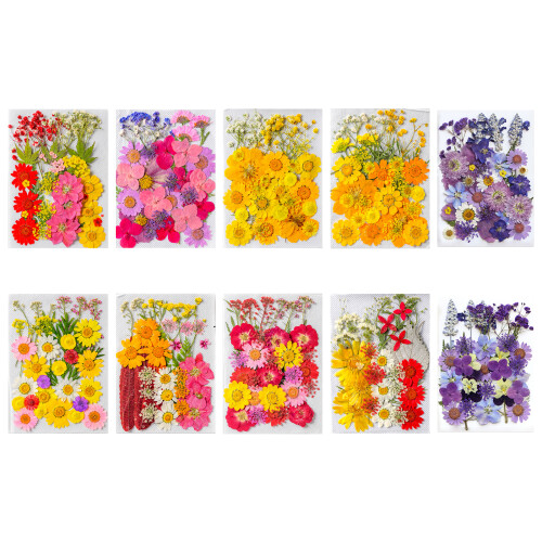 Beautiful Pressed Flower Dried Flower Charm for-Ziwei Star 1