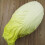 Chou chinois artificiel, Simulation de chou céleri-Vert 6