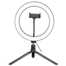 Illuminazione professionale di qualità, luce anulare a LED alimentata tramite USB con 10 livelli di luminosità regolabili, supporto per telefono