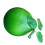 Accessoires de photographie de pamplemousse de Simulation-vert 1