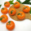 Set mit 6 Simulationen künstlicher orangefarbener-orange 5