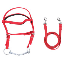 Pferdezaumzeug, Nylon, stilvoll, verstellbar,