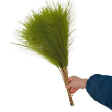 Pampas Grass 55cm 10pcs Fluffy Large Stems Artificial Decor for Home and Wedding Green