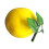 Künstliche Grapefruit-Simulation, Obstschaum,-Gelb 1