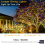 Solar Powered Rope Lights, Waterproof & Flexible for Wide Usage Decoration, Continuous Lighting for Hours 2