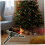Christmas Tree Stand with 2cm Hole, Stable Rotating Plastic Base for Removable Xmas Trees 3