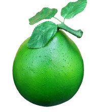 Simulation Grapefruit Artificial Grapefruit Fruit-green