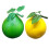Simulation Grapefruit Artificial Grapefruit Fruit-green 2