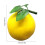 Artificial Grapefruit Simulation Grapefruit Photography-Yellow 4