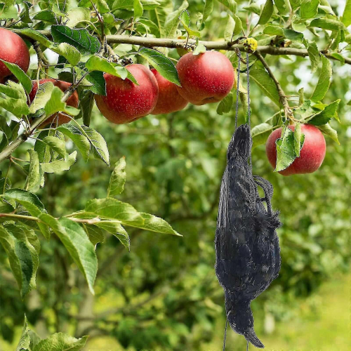 Ρεαλιστικό κρεμαστό νεκρό κοράκι σε φυσικό μέγεθος, εξαιρετικά μαύρο φτερω 2