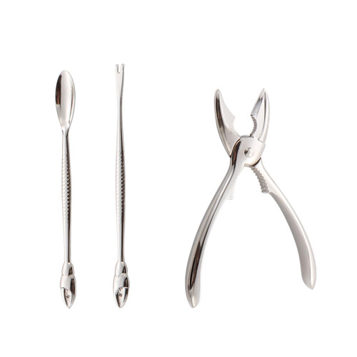 Functional Shellfish Poppers and Pick Set, Practical Shellfish and Seafood Tool Kit, Alloy Tool for Home, Restaurant