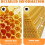 30PCS Beeswax Foundation Sheets for Beekeeping,  Honey Yield Bee Hive Wax Frames 7.7x16.3 5