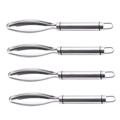 stainless steel fish scaler scraper tool for removing fish scales