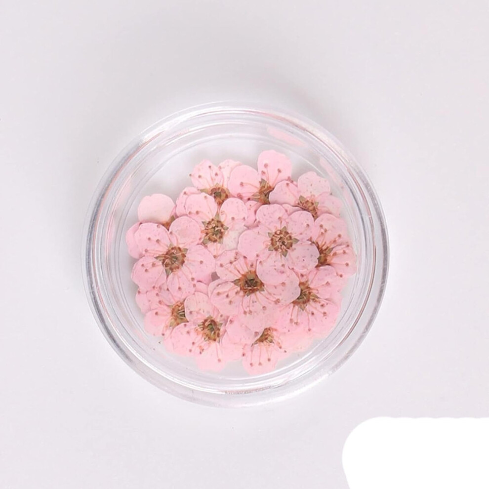 100pcs Pressed Dried Narcissus Flowers for Nail Art and DIY Epoxy Resin Jewelry Making