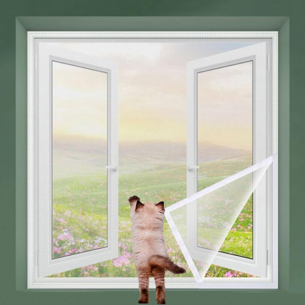 Protective Screen For Cat Windows, Custom Size, Fine Mesh, Selfadhesive, Easy To Install 9119770628350