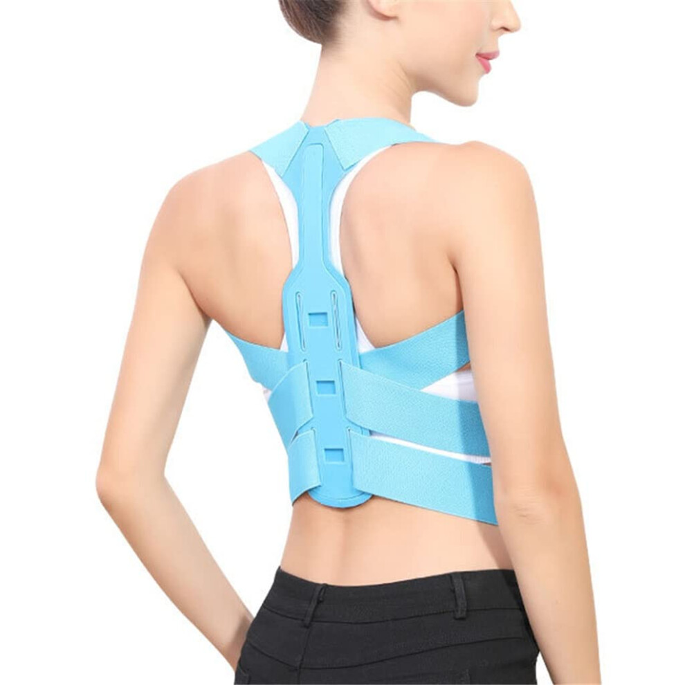Adjustable back support belt for correcting the collarbone, spine, back and shoulder area, as well as the lumbar spine.