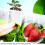 Transparents Mini Greenhouse Set Convenient and-A suit 6