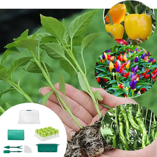 Transparents Mini Greenhouse Set Convenient and-A suit 2