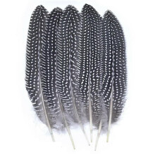 QXWD Natural Pheasant Feathers Peacock Feather Eagle Small Plume Handicraft Accessories Jewelry Creation Holiday Decoration Ref: 7145