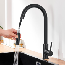 Kitchen Faucet with Pull-out Shower Matt Black 360 Rotating Stainless Steel Kitchen Sink Mixer 2-Fun