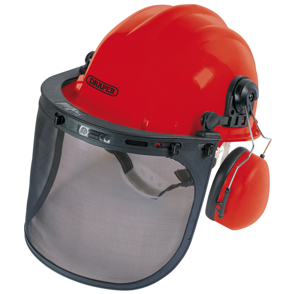 Forestry Helmet 5010559826469
