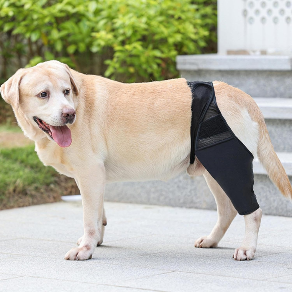 Dog Knee Brace For Acl, Knee Cap Dislocation, Arthritis - Keeps The Joint Warm - Extra Support - Reduces Pain