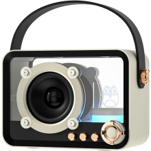 Punk-stijl transparante draadloze Bluetooth-luidspreker met RGB-verlichting, 5W HIFI HD-geluid, TF-kaart/FM/AUX-ondersteuning, 8 uur afspeel