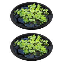 Ademend beschermend net Multifunctioneel watertuingaas-80 cm