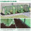 Mini Greenhouse 6