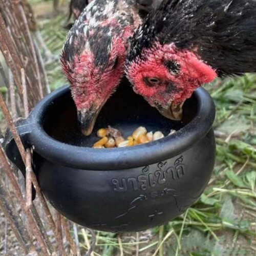 Bol d'alimentation en caoutchouc pour poulet, 2 pièces, pour 2