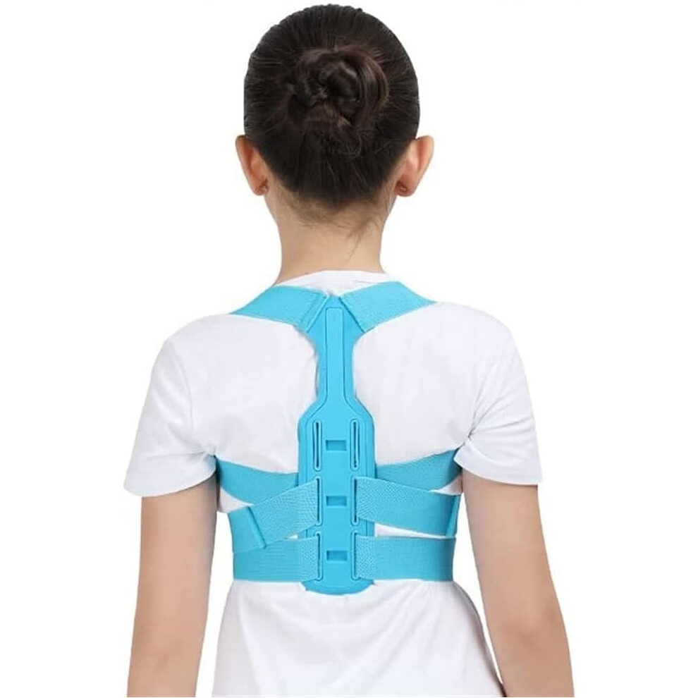 Blue Adjustable Posture Corrector, Spine Lumbar Support Belt, Orthopedic Brace (Medium, )
