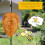 12 σετ Wasp Nest Decoy Εξωτερικού Χώρου, Ρεαλιστικός Σχεδιασμός για Κίτρινα Μπουφάν Hornets, 7