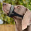 Adjustable Muzzle Reflective for Small, Medium, Large-Red L 7
