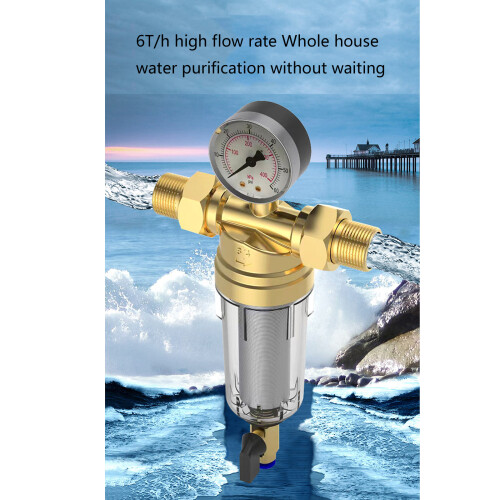 Rustproof Brass Water Filter Backwash Mechanism Water-3/4" 2