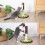 Cute Pendant Cat Scratching Post Scratcher-a small yellow flowe 5