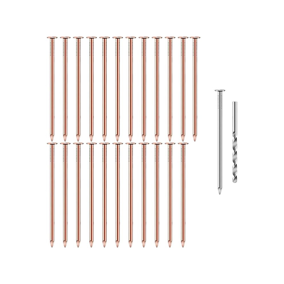25Pcs Coppers Nails Tree Stump Killersbulk Stump Removal Spikes Hardware Nails For Trees Removing Stumps 6133283645980