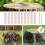 25Pcs Coppers Nails Tree Stump KillersBulk Stump Removal Spikes Hardware Nails for Trees Removing Stumps 5