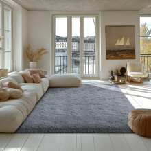 (160x230cm(5.3ftx7.5ft) Medium Area/Bedroom Rug) BedLooms Grey Shaggy Rug-Large Ultra Soft Thick Shaggy Rug for Living and Bedrooms