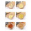 Multifunctional Manual Food Grinder Crusher Nuts Garlic Spices Herbs Nuts Walnut Peanut Grinder Kitchen Tools 5