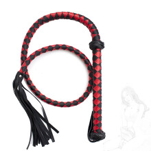 JINGHUA3 Leather Whip BDSM Whip Flogger Sex Toy for Couples (Black Red)